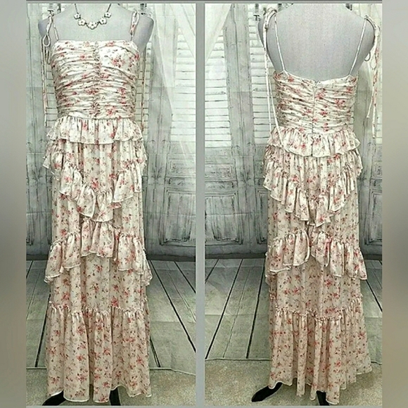 Cottage Prairie Rose Floral Formal Ruffle Corset Fairy Events Dress New - Picture 4 of 8